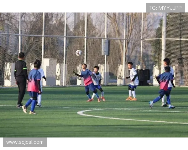 体育联赛足球（足球联赛啥意思）sports