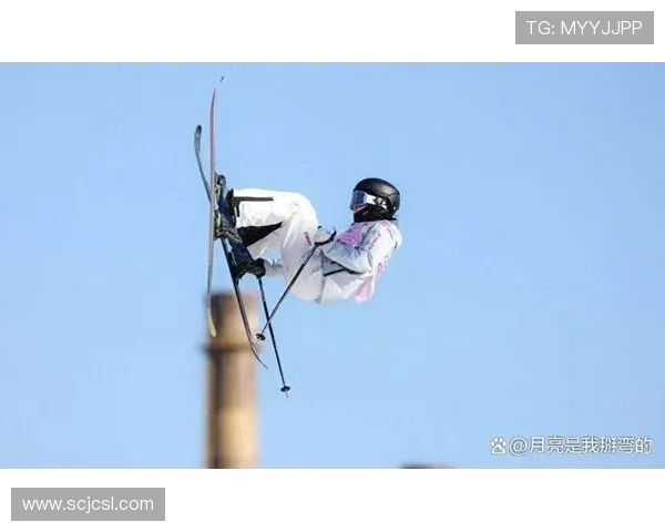 单人滑雪世界杯跳跃（跳台滑雪男子单人和女子单人世界杯赛有几跳）sports